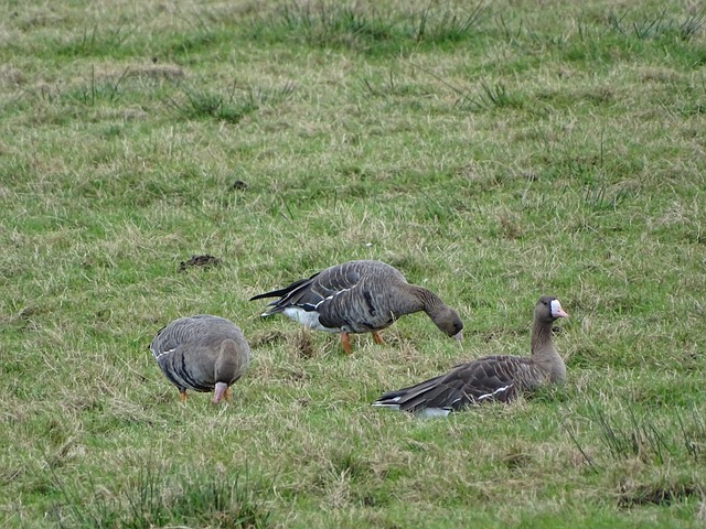 💡早报：阿隆索输掉的，是“帅位保卫战”？