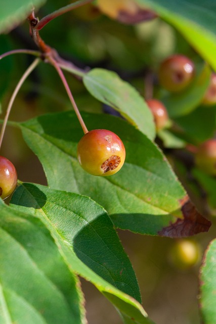 拉波尔特：我在曼城6年本可以赢得更多欧冠，至少3个也不为过